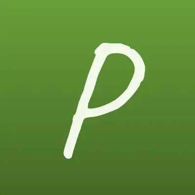 Pixel